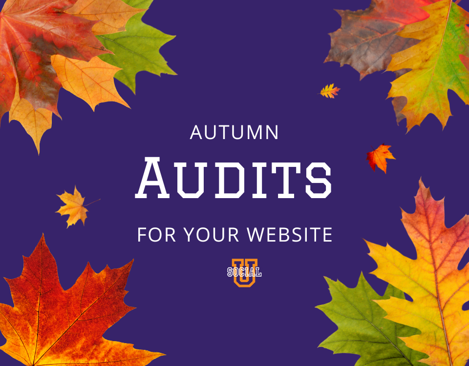 Autumn Audits for Your Website